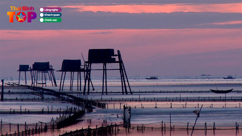 cam-nang-du-lich-tai-bien-dong-chau-thai-binh-thaibinhtoplist