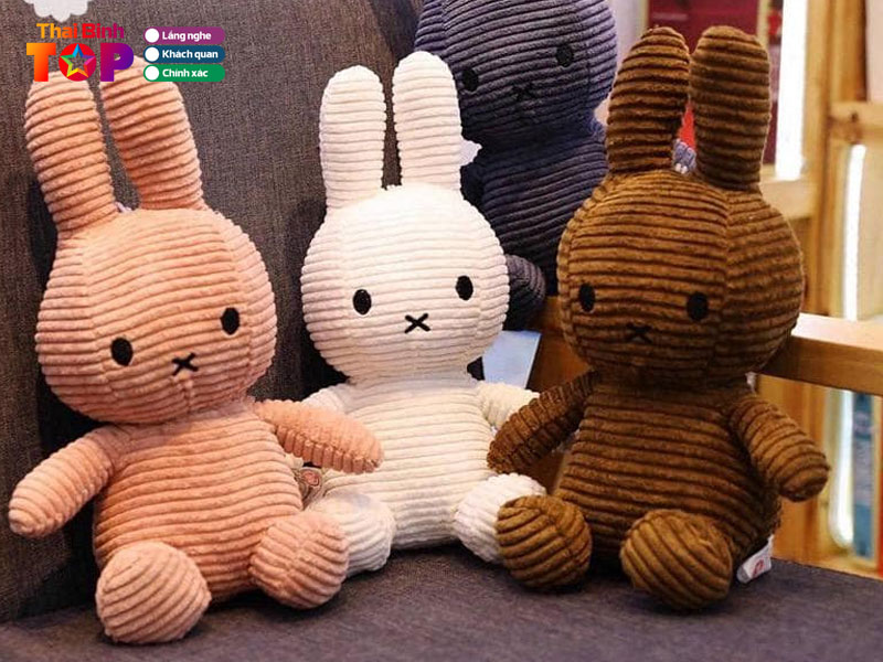 sj-ga-shop-thaibinhtoplist