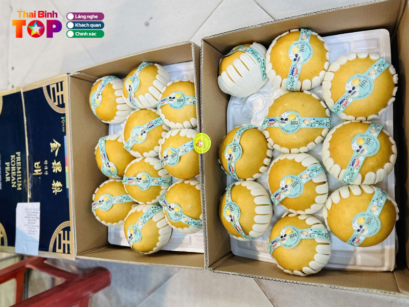 monkey-fruit-thaibinhtoplist