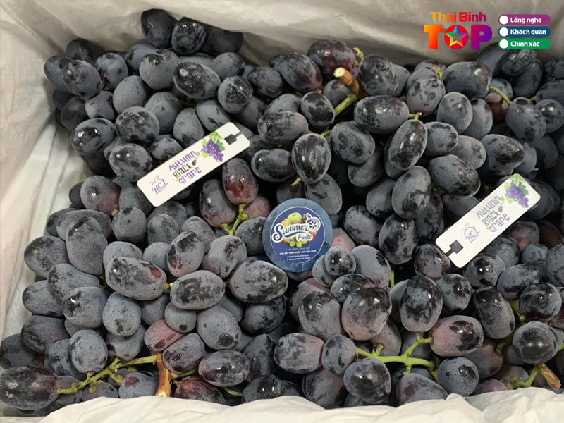summer-fruits-thaibinhtoplist