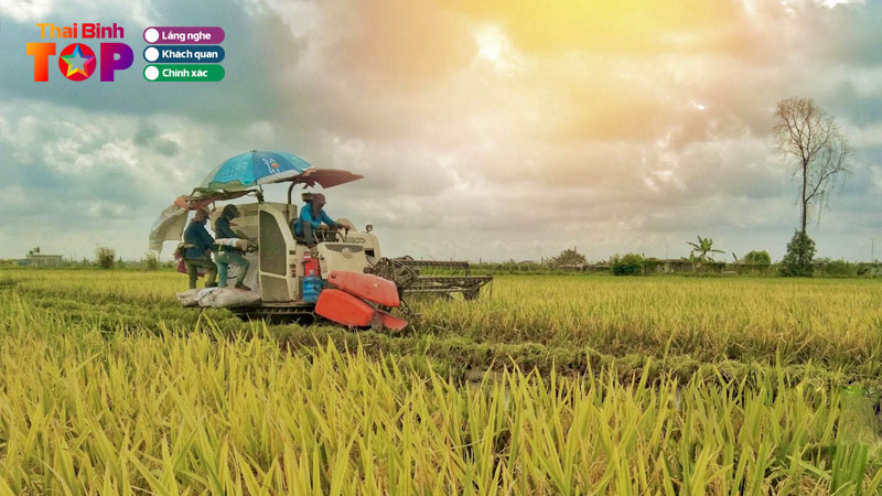 top-11-bai-tho-ve-thai-binh-an-tuong-nhat-thaibinhtoplist