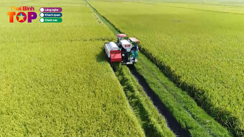 top-9-bai-hat-ve-thai-binh-dam-chat-que-huong-thaibinhtoplist