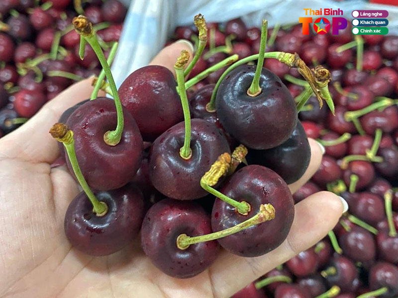 truc-linh-fruits-thaibinhtoplist