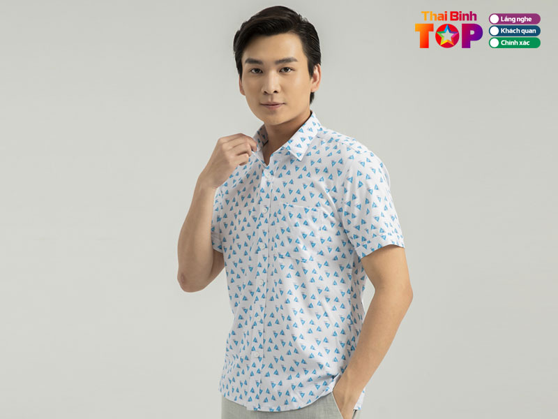 Aristino-thai-binh-thaibinhtoplist