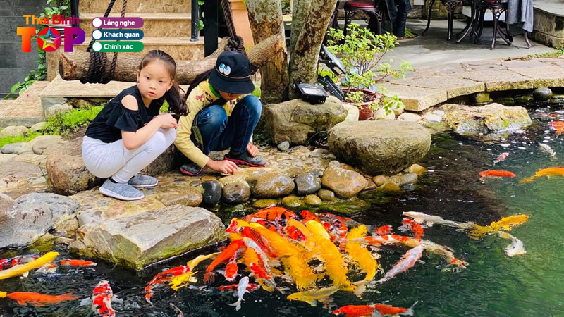 top-3-quan-cafe-ca-koi-thai-binh-so-huu-khong-gian-dep-nhat-thaibinhtoplist