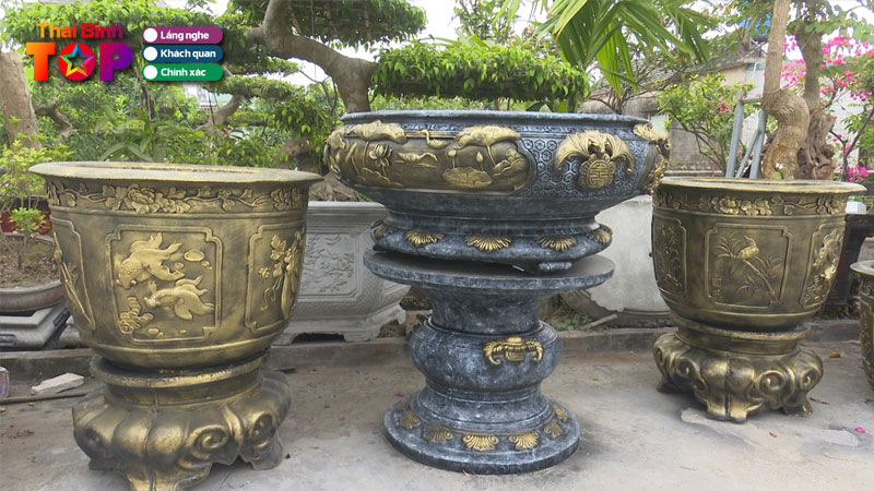 Top-5-dia-chi-ban-chau-trong-cay-thai-binh-chat-luong-gia-re-thaibinhtoplist