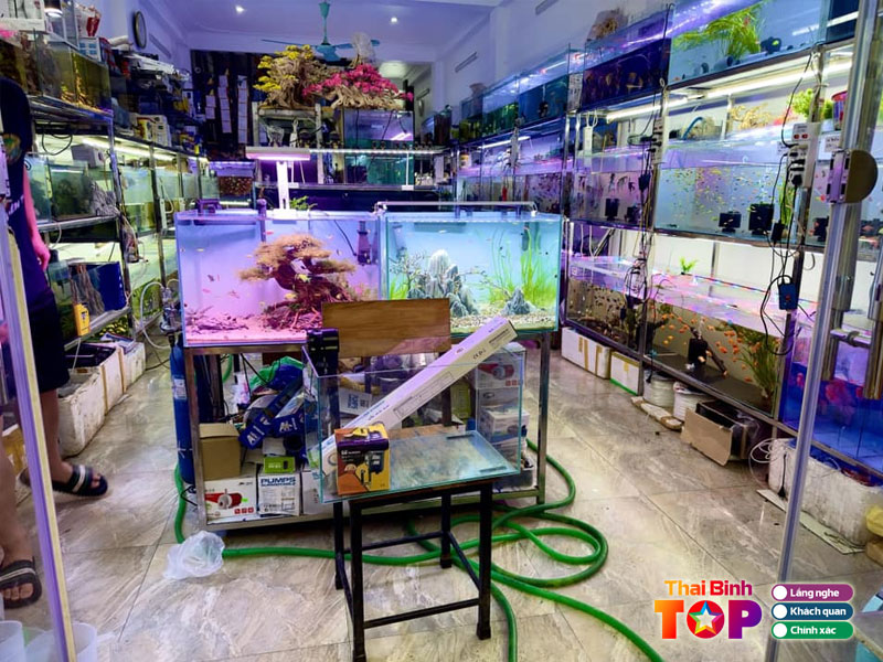 Ca-canh-trung-nguyen-tb-thaibinhtoplist