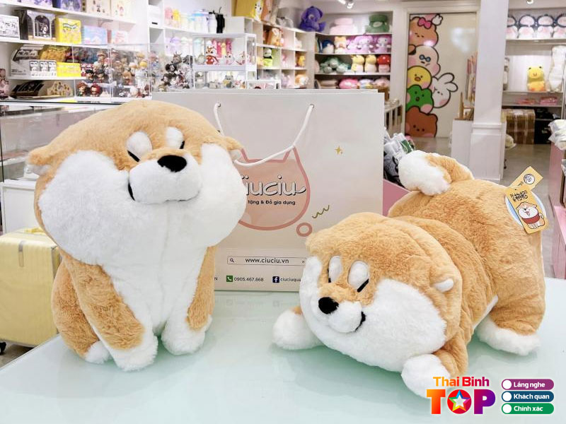 Huong-dan-lua-chon-va-meo-trai-nghiem-tu-dan-ban-dia-thaibinhtoplist
