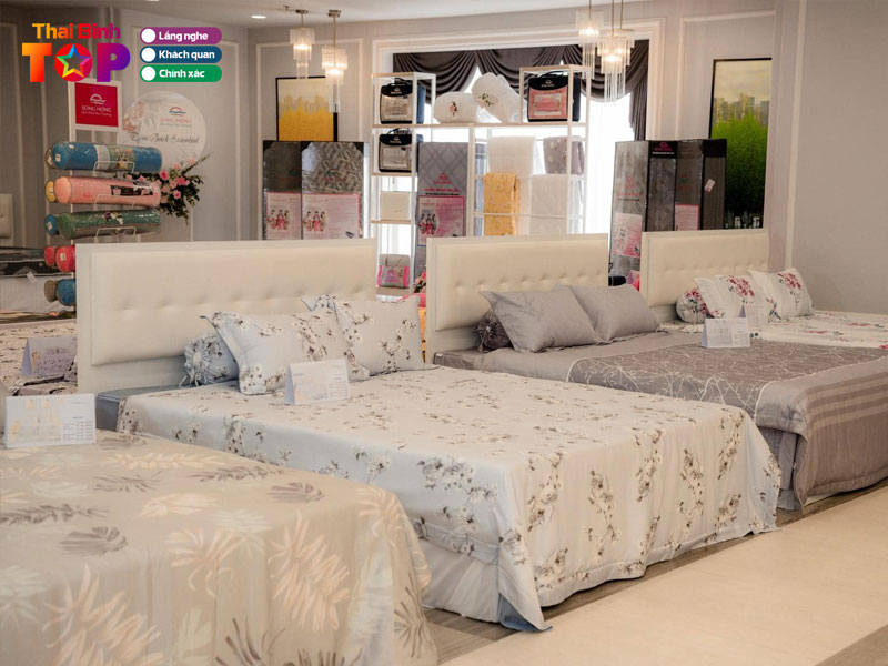 Nha-phan-phoi-chan-ga-goi-dem-song-hong-showroom-hoang-thuy-thaibinhtoplist