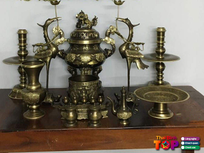 Huong-dan-lua-chon-va-meo-bao-quan-dinh-dong-tu-chuyen-gia-dia-phuong-thaibinhtoplist