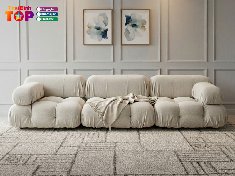 Cau-hoi-thuong-gap-khi-mua-sofa-o-thai-binh-thaibinhtoplist
