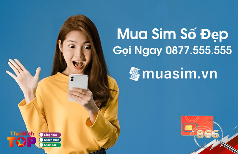 Mua-sim-duoi-500k-tai-muasim-vn-uy-tin-gia-re-thaibinhtoplist