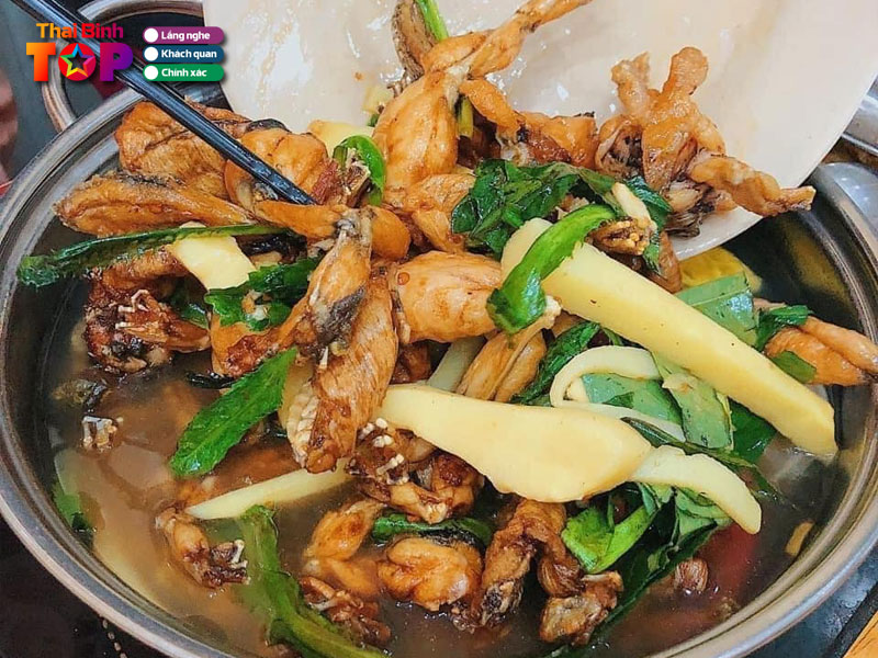 Cau-hoi-thuong-gap-ve-lau-ech-thai-binh-thaibinhtoplist
