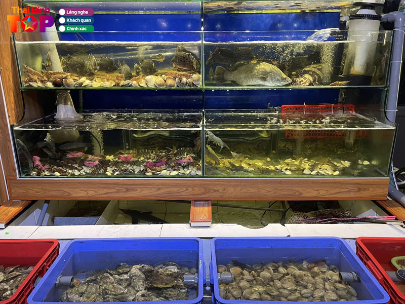 Nha-hang-phuc-hang-thaibinhtoplist