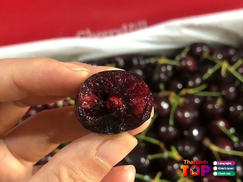 Eus-fruit-thaibinhtoplist