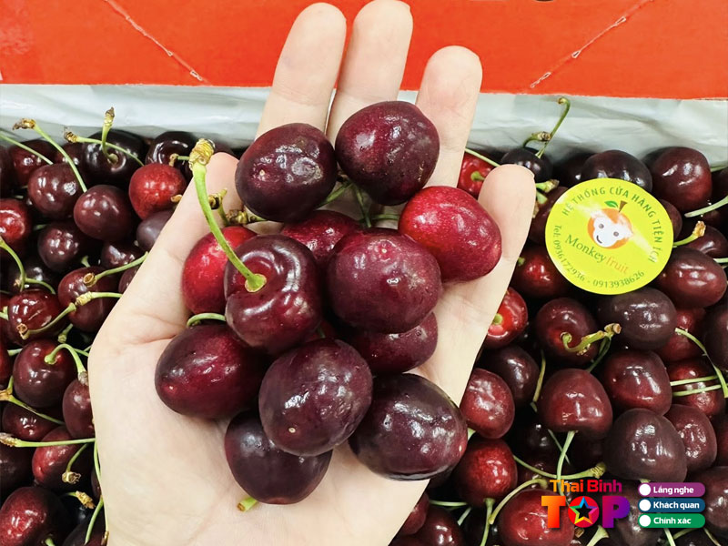 Monkey-fruits-thaibinhtoplist