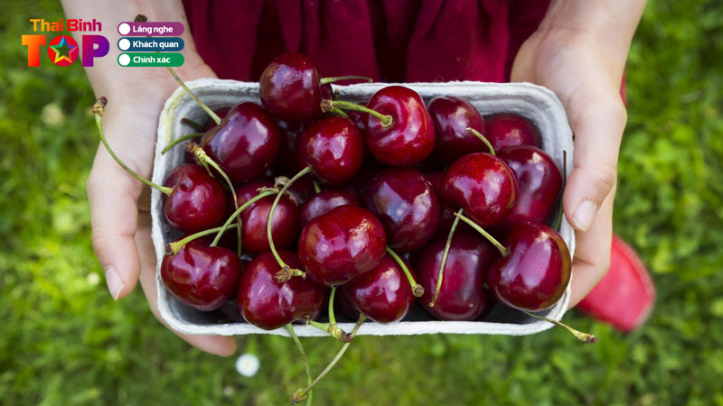 Top-10-dia-chi-ban-cherry-o-thai-binh-tuoi-ngon-chat-luong-thaibinhtoplist