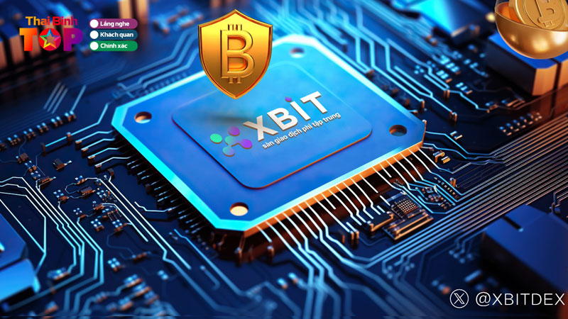 Bo-cuc-sinh-thai-chuoi-cheo-da-tro-thanh-xu-huong-va-cac-nen-tang-giao-dich-da-phat-trien-da-dang-thaibinhtoplist