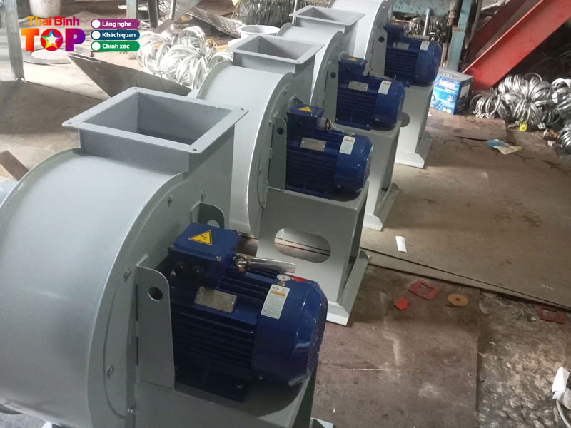 Cong-ty-tnhh-thuong-mai-va-dich-vu-ngoan-thanh-thaibinhtoplist