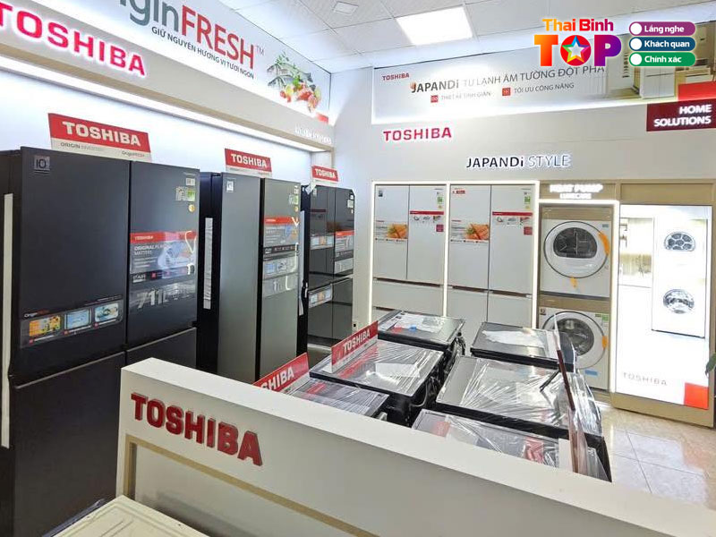 Dien-may-manh-tam-thaibinhtoplist