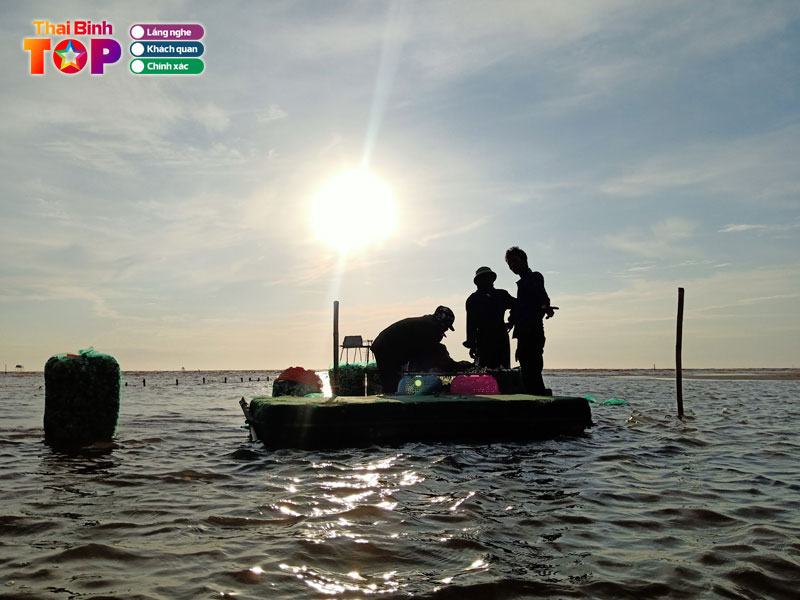 Mot-so-luu-y-khi-den-bai-bien-con-den-thaibinhtoplist