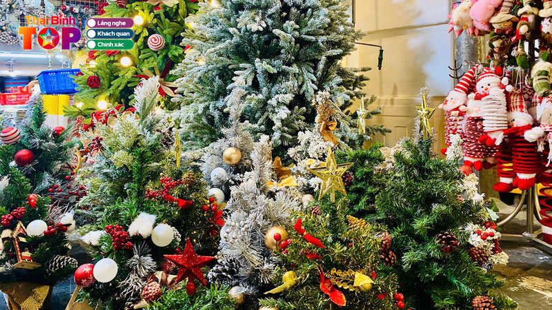 Top-5-dia-chi-mua-cay-thong-noel-tai-thai-binh-gia-re-sieu-dep-thaibinhtoplist