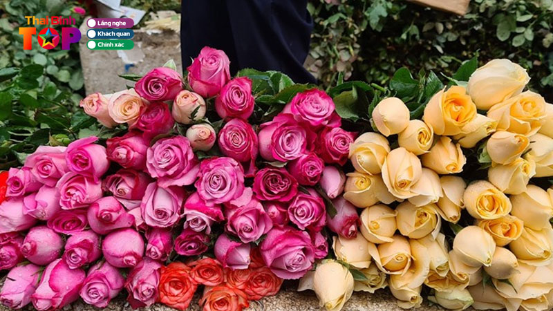 Top-5-shop-hoa-tuoi-o-huyen-thai-thuy-thai-binh-dep-du-loai-thaibinhtoplist