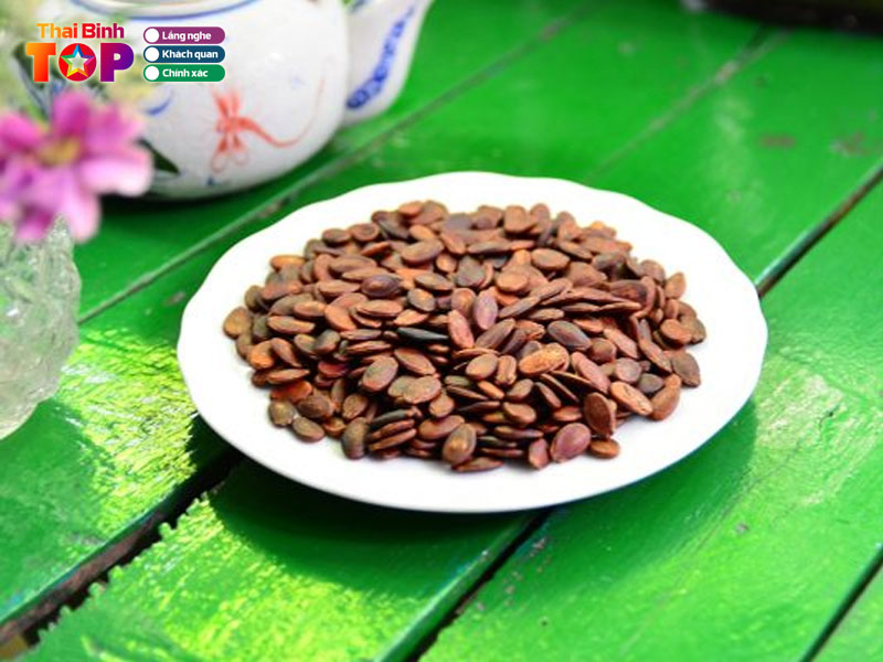 Go-thai-binh-thaibinhtoplist