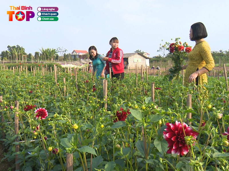 Lang-vuon-bach-thuan-thaibinhtoplist