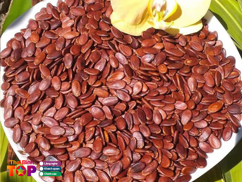 Tieu-chi-lua-chon-noi-ban-hat-dua-tet-chuan-thaibinhtoplist