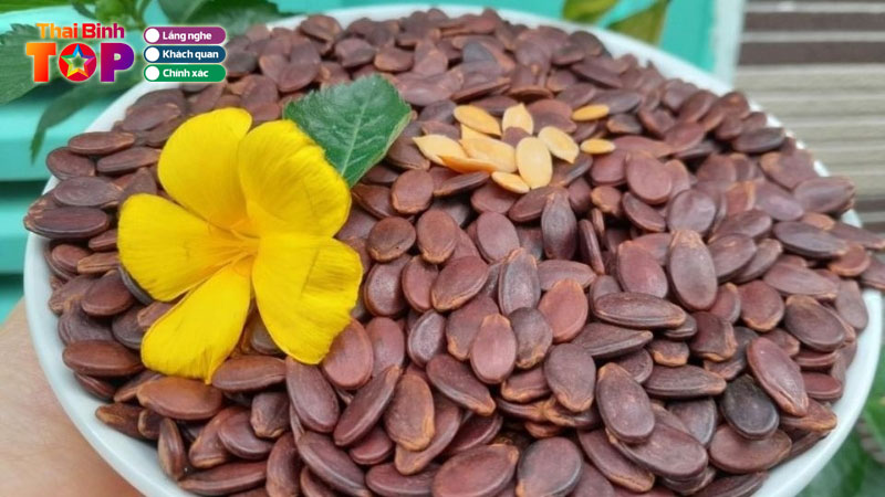 Top-10-dia-chi-ban-hat-dua-tet-o-thai-binh-ngon-gia-tot-de-mua-thaibinhtoplist