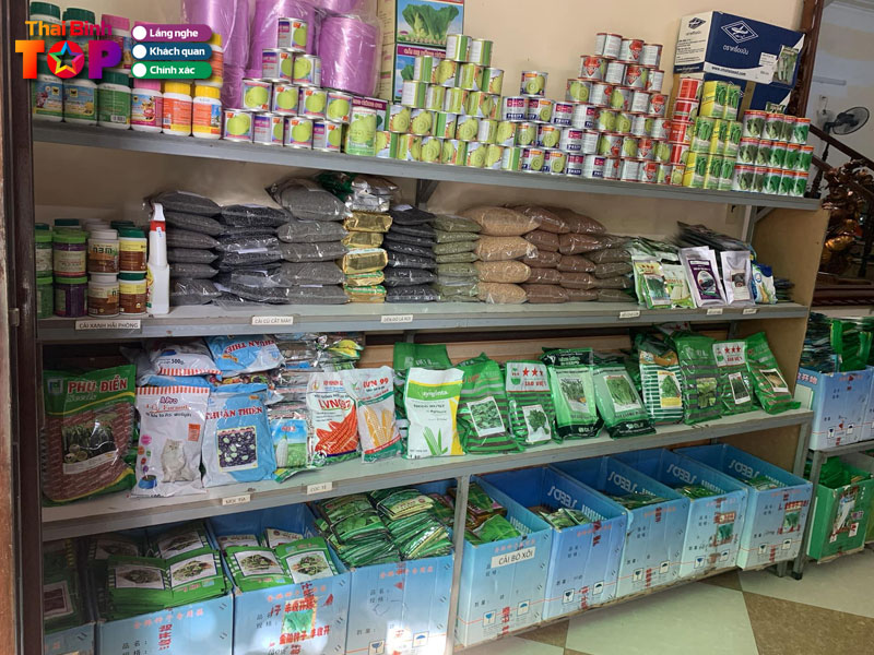 Dai-ly-phan-phoi-hat-giong-thai-binh-thaibinhtoplist