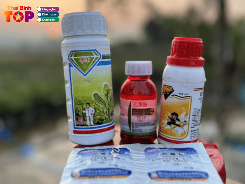 Dai-ly-thuoc-bao-ve-thuc-vat-le-van-thuc-thaibinhtoplist