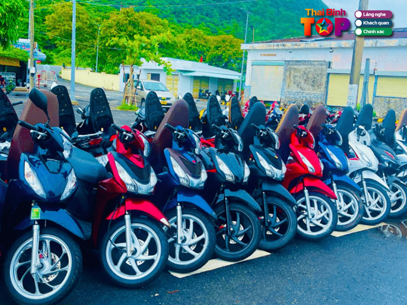 Thao-hoang-thaibinhtoplist