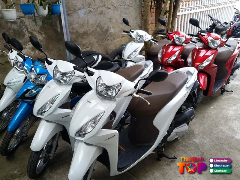 Toan-vuong-phat-thaibinhtoplist