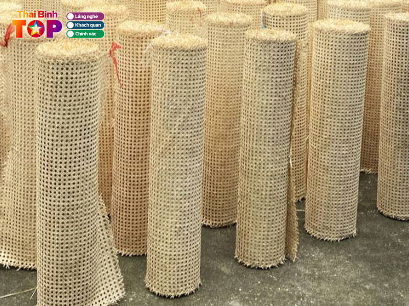 Co-so-san-xuat-may-tre-dan-xuan-dai-thaibinhtoplist