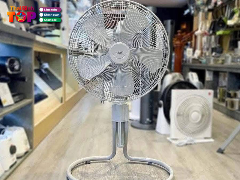 Cua-hang-do-dien-gia-dung-chien-nhuong-thaibinhtoplist