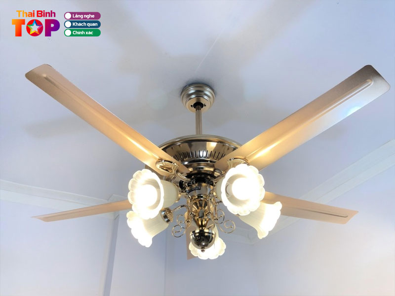 Cua-hang-thiet-bi-dien-toan-oanh-thaibinhtoplist