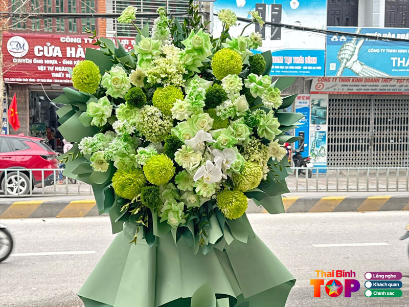 Lofi-floral-thaibinhtoplist