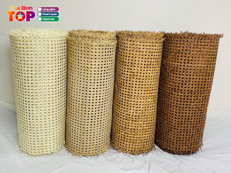 May-tre-dan-tien-huy-dia-chi-ban-luoi-may-mat-cao-o-thai-binh-dep-thaibinhtoplist