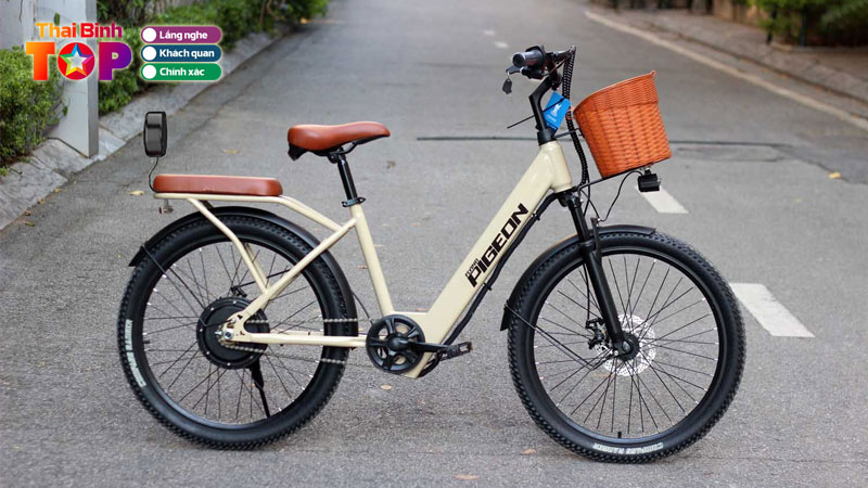 Top-12-dia-chi-mua-xe-dap-dien-thai-binh-gia-tot-mau-dep-thaibinhtoplist