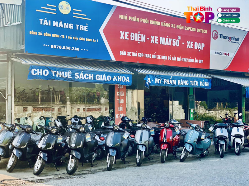 Xe-dien-tai-nang-tre-dong-hung-thaibinhtoplist