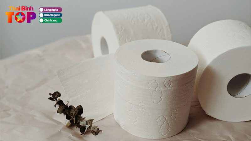 Top-10-dia-chi-ban-giay-ve-sinh-o-thai-binh-chat-luong-nen-mua-thaibinhtoplist