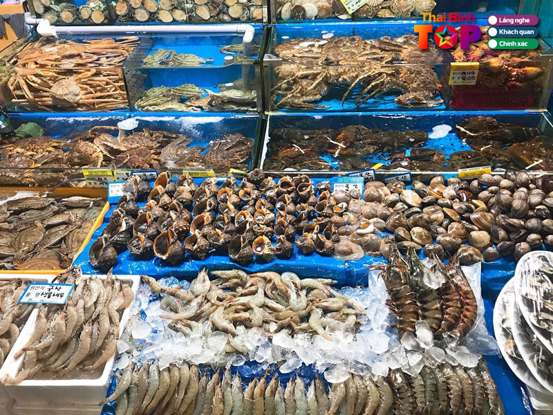 Cau-hoi-thuong-gap-ve-cho-dau-moi-hai-san-thai-binh-thaibinhtoplist