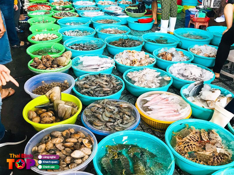 Cho-dau-moi-hai-san-thai-binh-thaibinhtoplist