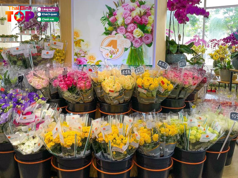 Dollar-flower-thaibinhtoplist