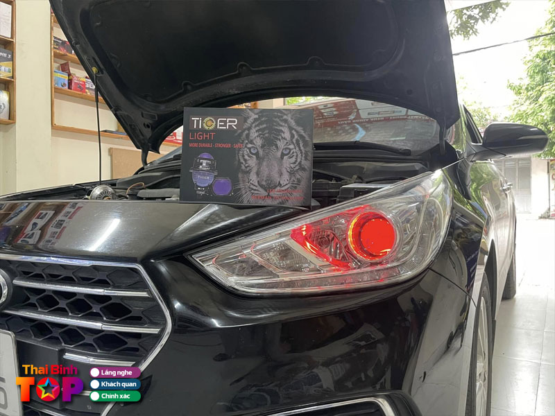 Thao-nghia-auto-thaibinhtoplist