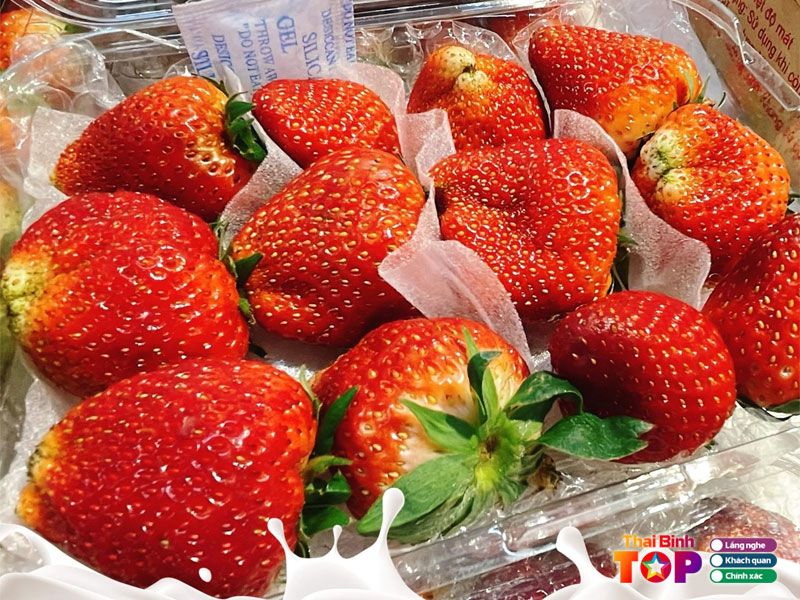 Sieu-thi-winmart-thaibinhtoplist