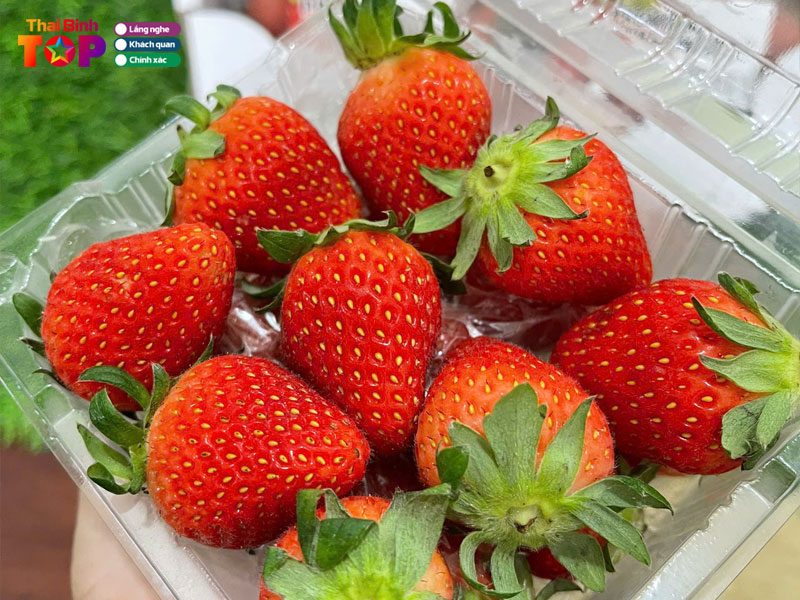 Summer-fruits-thaibinhtoplist