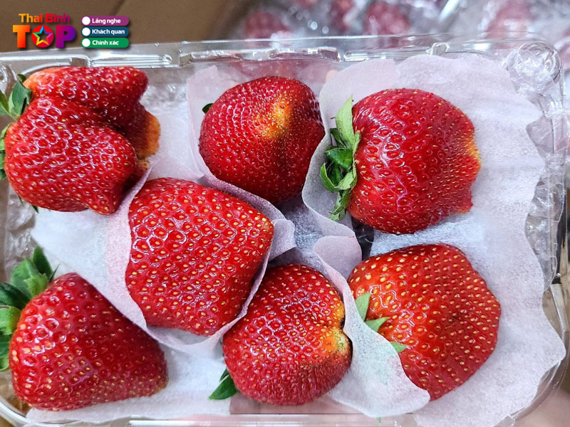 Truc-linh-fruits-thaibinhtoplist